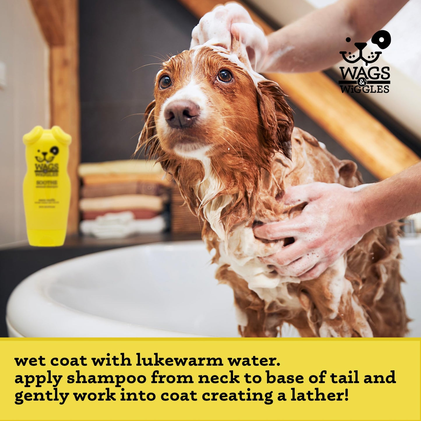 Wags & Wiggles Soothe Oatmeal Dog Shampoo, Warm Vanilla Scent - Soothing Shampoo for Dogs with Dry, Itchy, and Sensitive Skin, 16 Fl Oz
