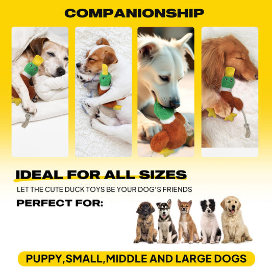 Fida Duck Dog Toys for Aggressive Chewers, Squeaky Dog Rope Toys to Keep Them Busy, Intactive Tug of War Plush Duck with Natural Cotton Rope for Puppy Small Medium and Large Breeds