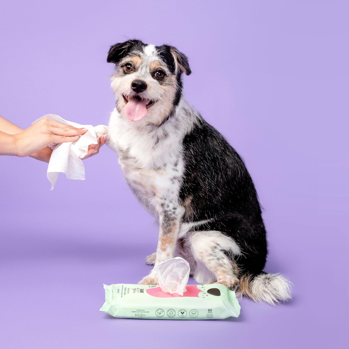 Raw Sugar 2-in-1 Dog Shampoo and Conditioner (Aloe & Oatmeal, 16 Fl Oz) & Dog Wipes, 2 Pack (60 Apple Cream Pet Wipes) Fur Kids Sensitive Coat Kit, Vegan & Cruelty-Free Puppy Essentials