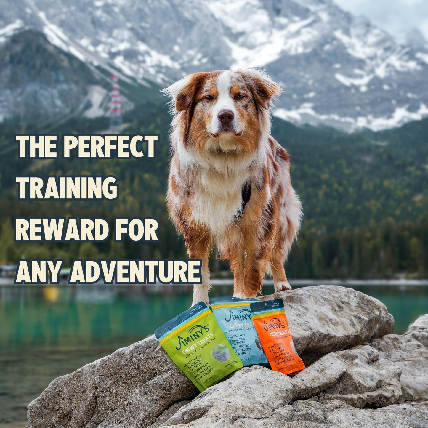 Jiminy's Chewy Cricket Dog Training Treats, Low Calorie, Hypoallergenic, Made in USA, 6oz, Variety Pack (Pack of 3)