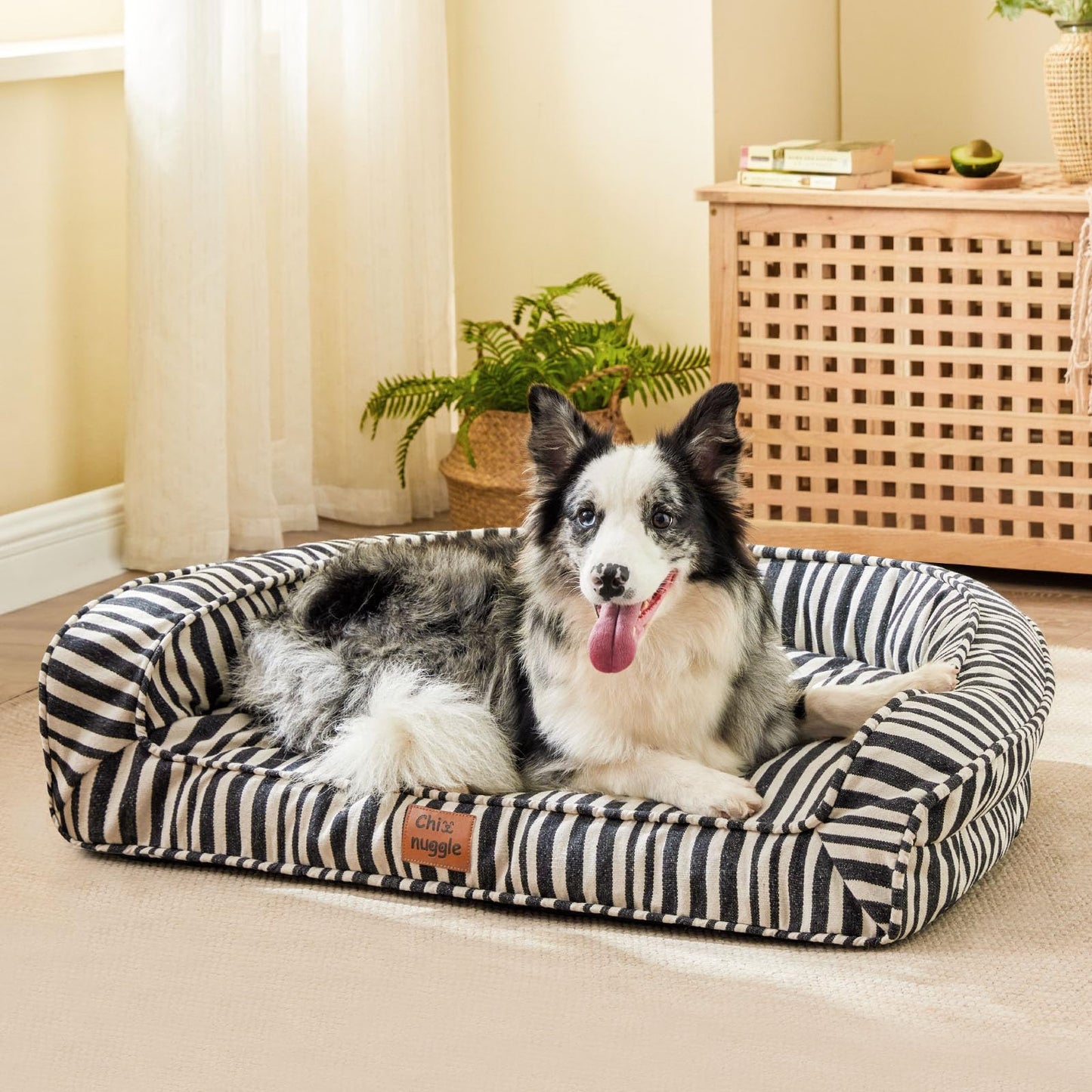 ChiXnuggle Dog Bed for Large Dogs - Washable Canvas Pet Beds, Breathable & Low-Step Entry Easy for Senior Dog, 36x27x7inches
