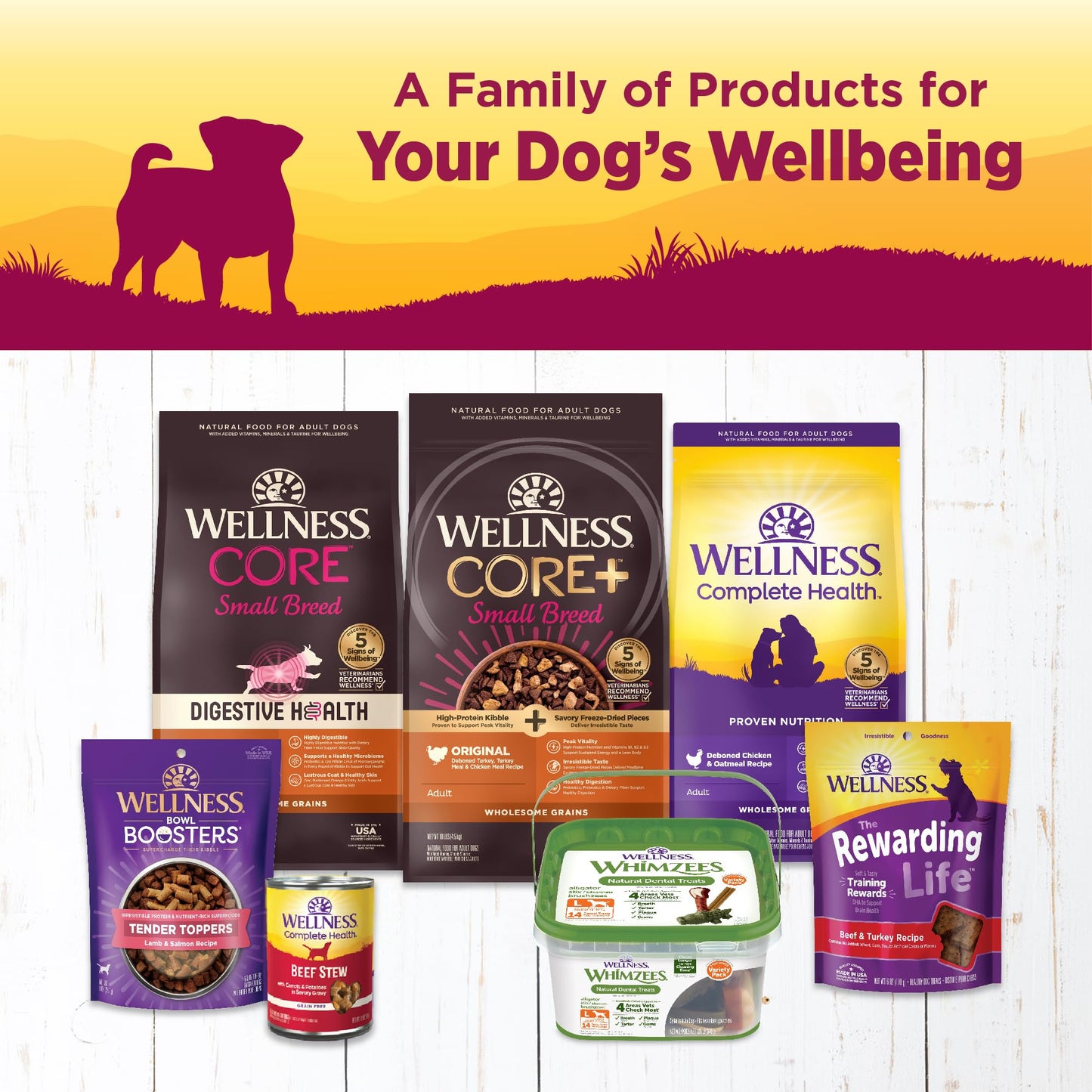 Wellness Petite Entrées Mini-Filets with Roasted Chicken, Carrots & Red Peppers in Gravy, 3-Ounce Cup (Pack of 12)