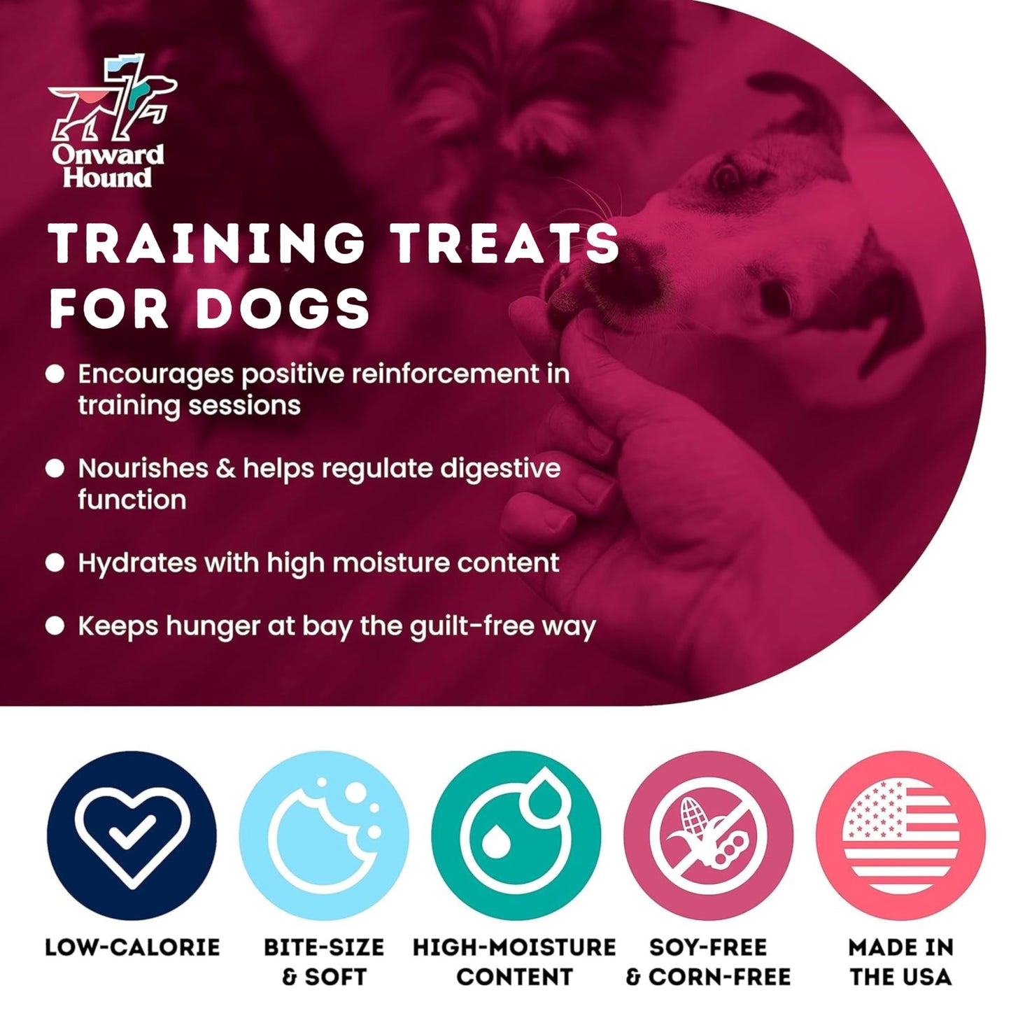 Onward Hound Training Treats for Dogs - Soft Salmon - Low Calorie Dog Training Treats for Sensitive Stomachs with Single Source Premium Protein, Corn Free, & Soy Free Formula - 10 oz