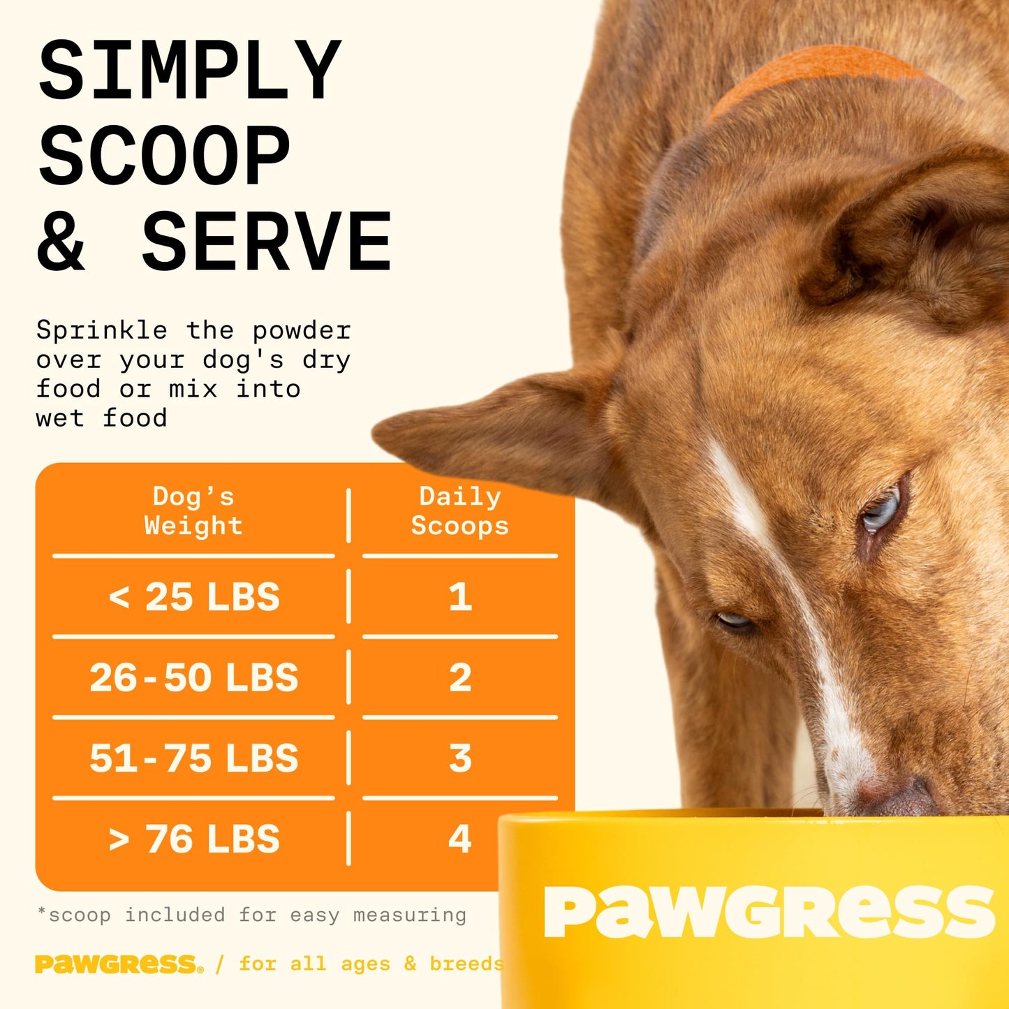 Pawgress 5-in-1 Dog Probiotic Powder – 100% Natural Gut Health Support with Prebiotics, Postbiotics & Enzymes – Crafted by Dog Nutritionist Kayla Kowalski, Made in USA – 30 Scoops