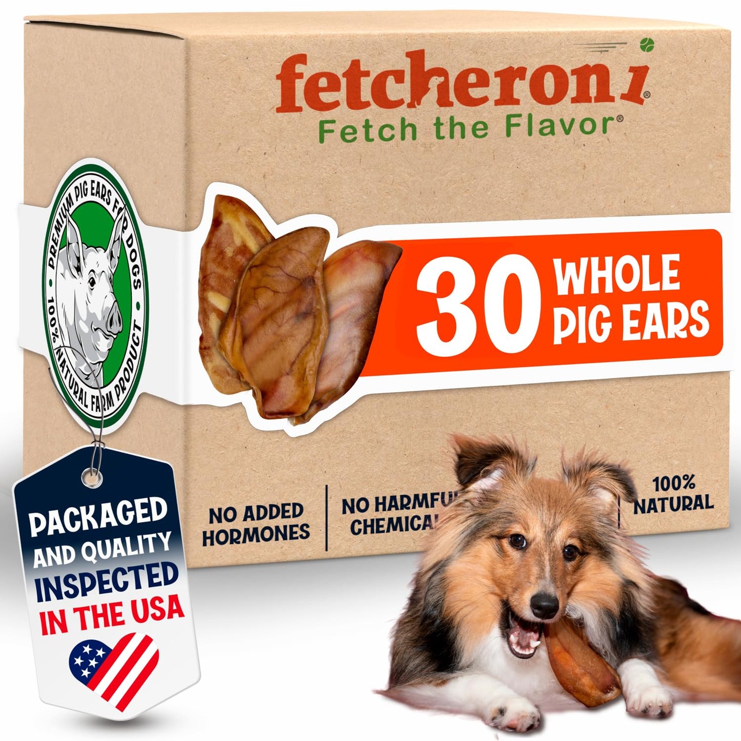 FETCHERONI Whole Pig Ears for Dogs Large - 30 Pack Long Lasting Dog Chews – One Ingredient Delicious All Natural Flavor – Easy to Digest Dog Treats for Large Dogs - Great for Teeth and Gums