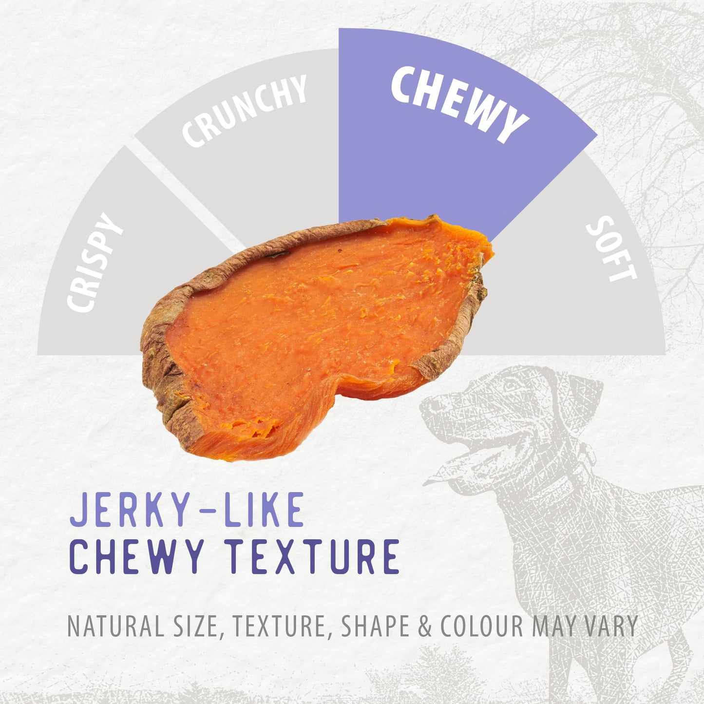 DOGSWELL Dental Chicken Jerky 12 Ounce