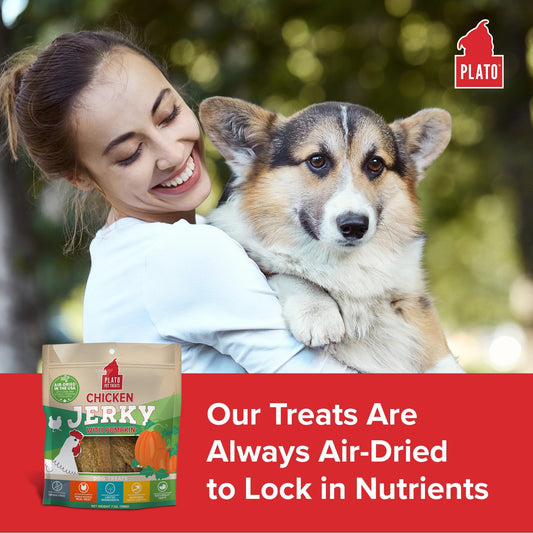 PLATO Pet Treats Jerky Dog Treats - Air-Dried Jerky for Dogs - Delicious, Real Meat Dog Treats - Grain Free - Supports Healthy Digestion - Chicken Jerky with Pumpkin 16oz