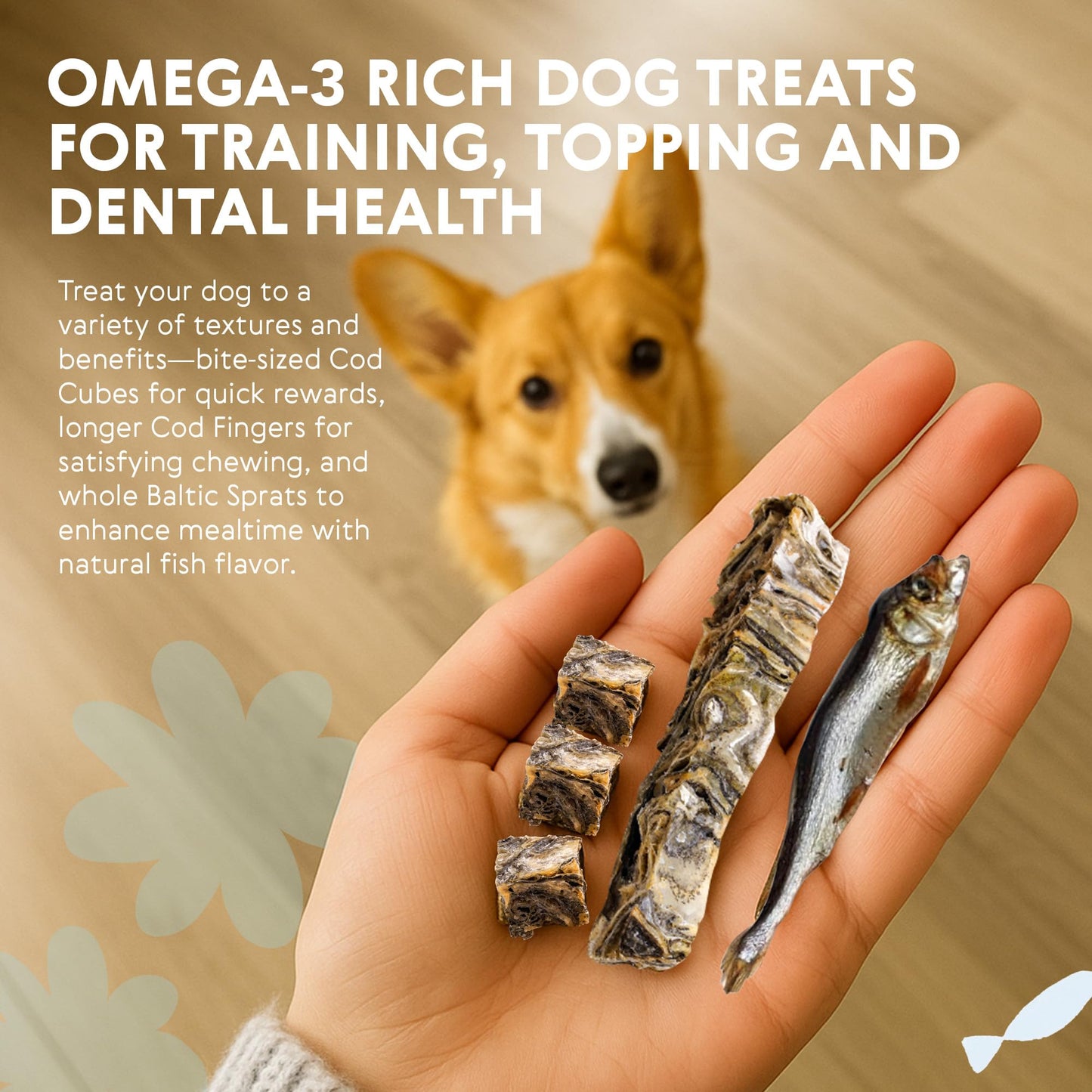 Eli Natural Fish Mix 3 Pack – Natural Premium Dog Treats, Cod Skin Dental Treats, Rich in Protein & Omega-3, Low Fat, Grain Free, Single Ingredient, Hypoallergenic, Gluten Free, Air Dried Fish Treats