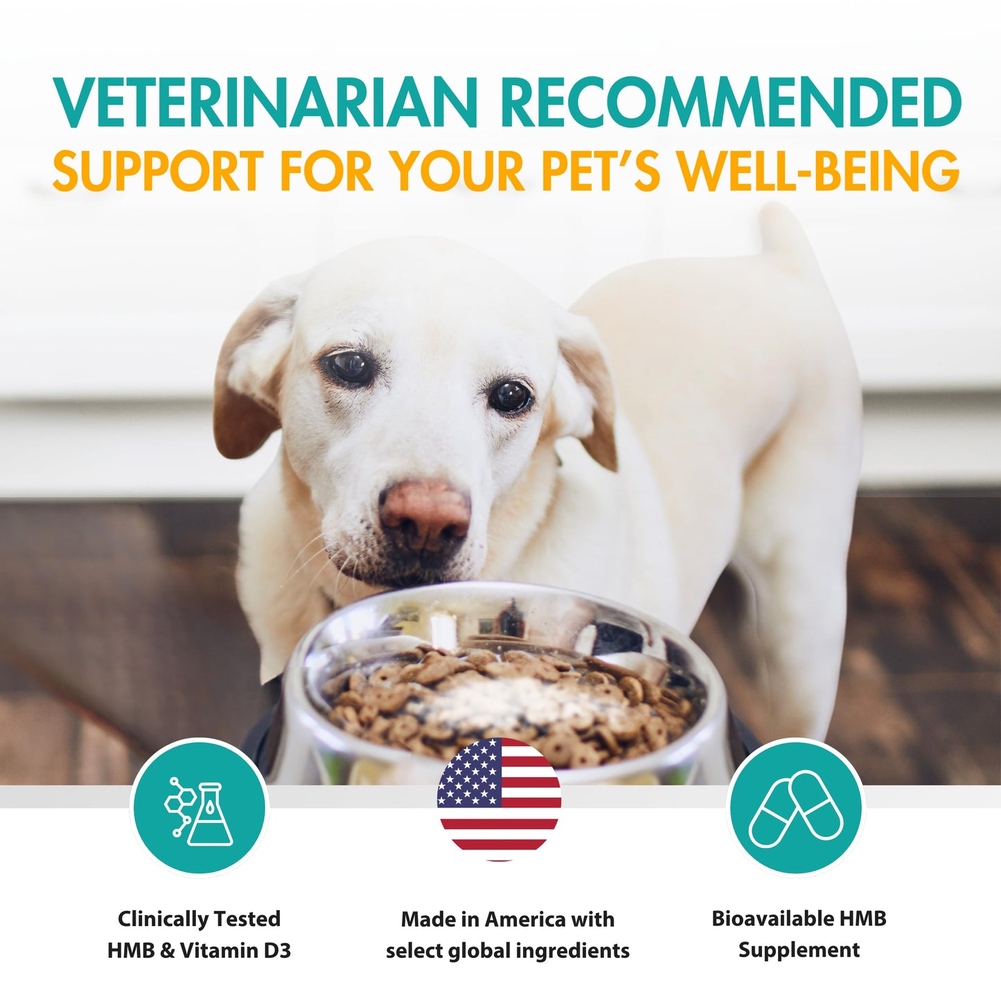 AminAmend Muscle Support Dog Supplements for Large Breed (21lbs+) with CaHMB & Vitamin D3 – Supports Strength, Mobility & Daily Activity for All Ages & Senior Dog – (30 Capsules)