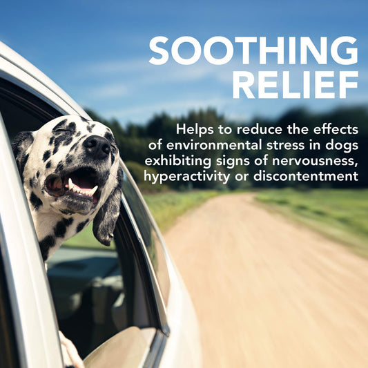 Vet's Best Comfort Calm Calming Soft Chews Dog Supplements - Dog Calming Aid Supports Dog Balances Behavior - Promotes Relaxation - 30 Day Supply