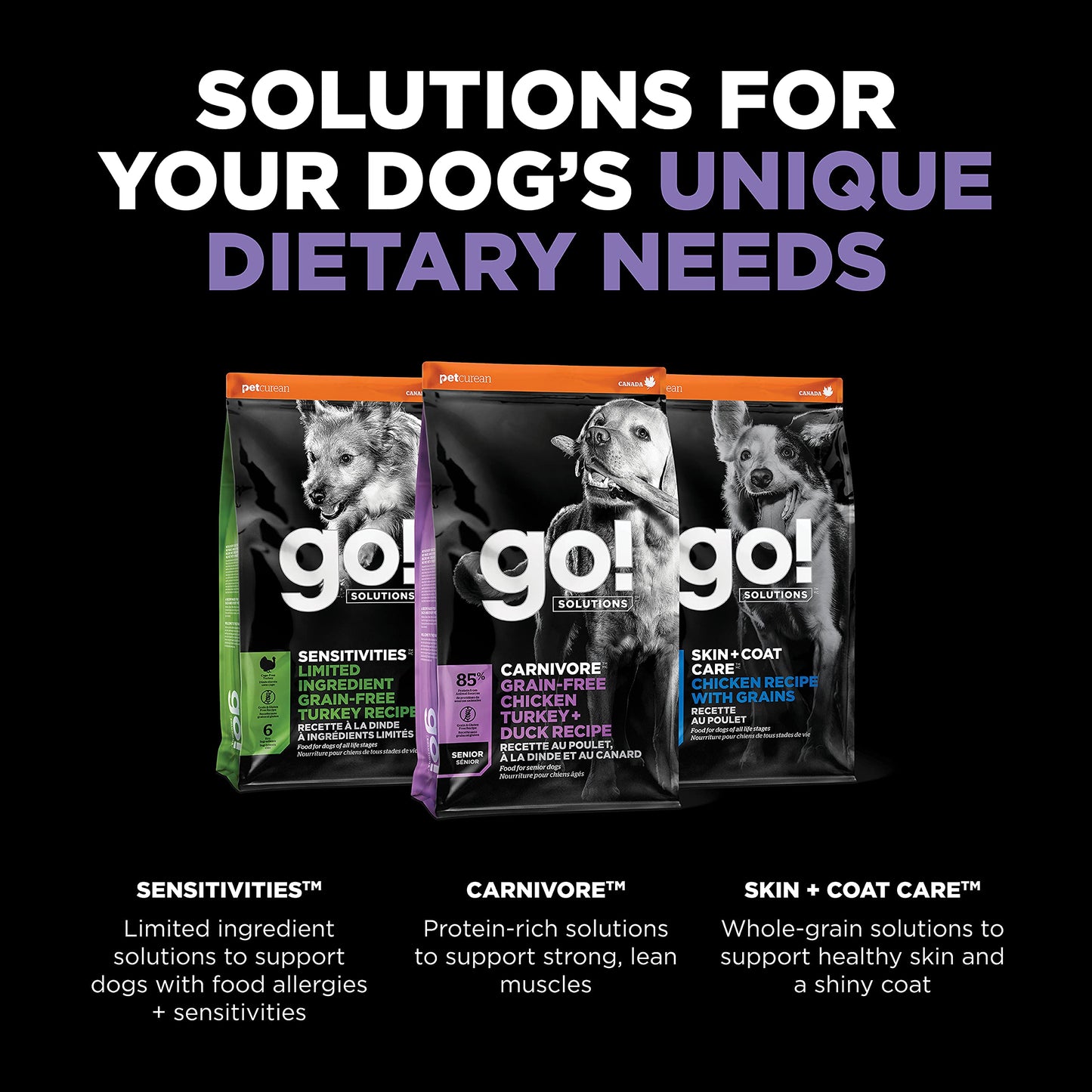 Go! Solutions Carnivore, Grain-Free, Protein Rich Dry Dog Food, Chicken, Turkey and Duck Senior Recipe, 22 lb Bag