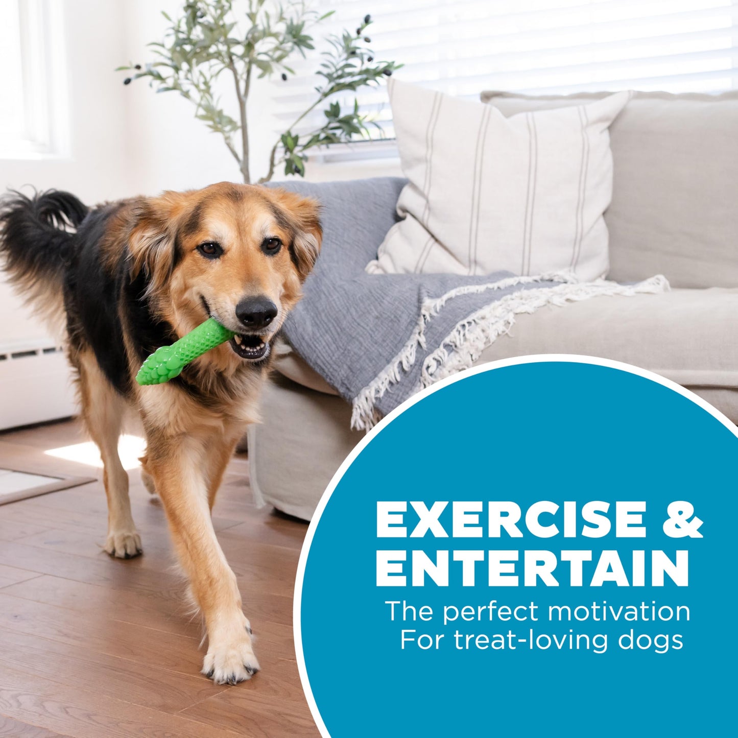 Outward Hound Asparagus Interactive Treat-Dispensing Dog Toy, Medium, Green