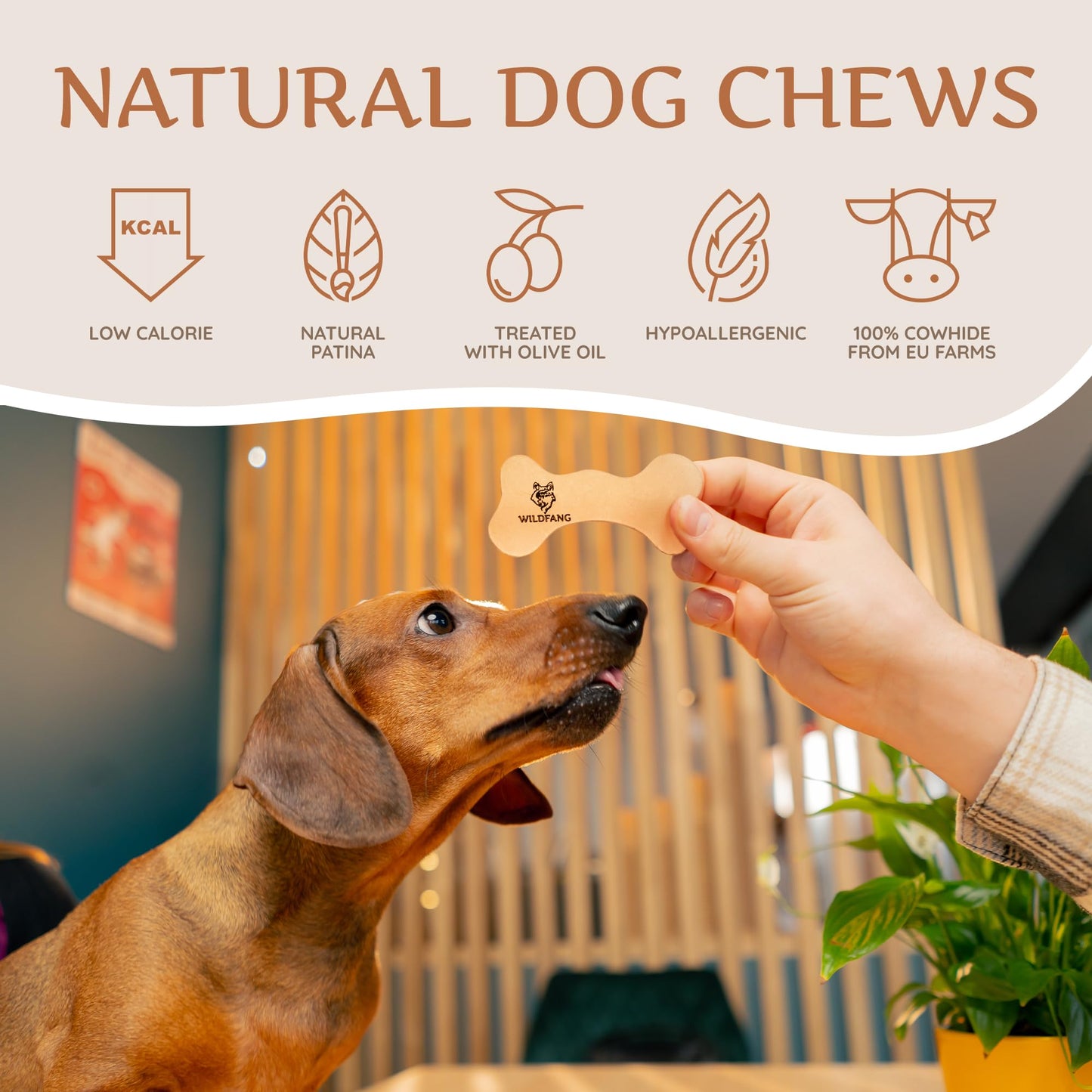 Wildfang® Leather Dog Toy, Small - Leather Bone for Teething Dog, Dental Toys for Puppies, Puppy Chew Bones for Light or Medium Chewers (for Dogs Under 22 lbs), Pack of 3