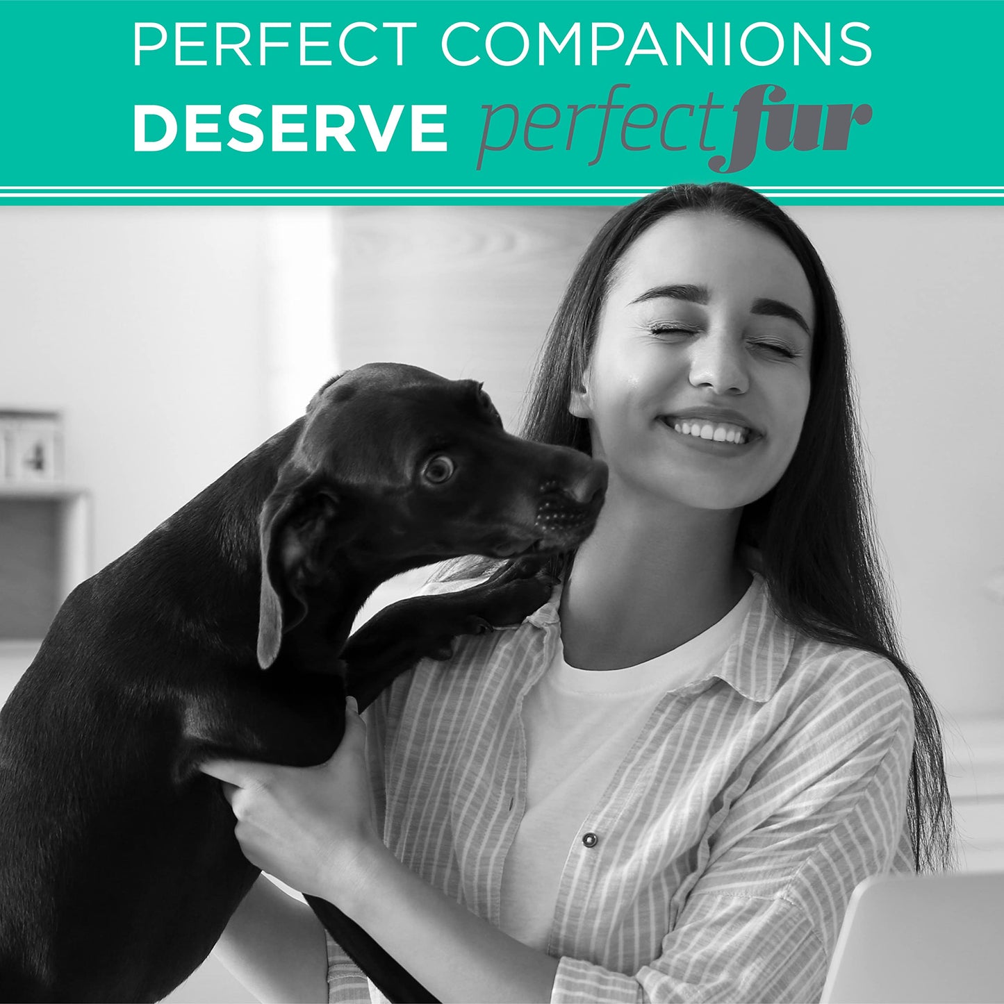 ODAC Overture Derma Serene Pet Shampoo, Gentle, Skin Friendly with Winter Cherry Root & Korean Patchouli, Rich Lather & Herbal Freshness, for Dogs & Cats, 10.14 fl oz Korea Beauty Pet Skincare
