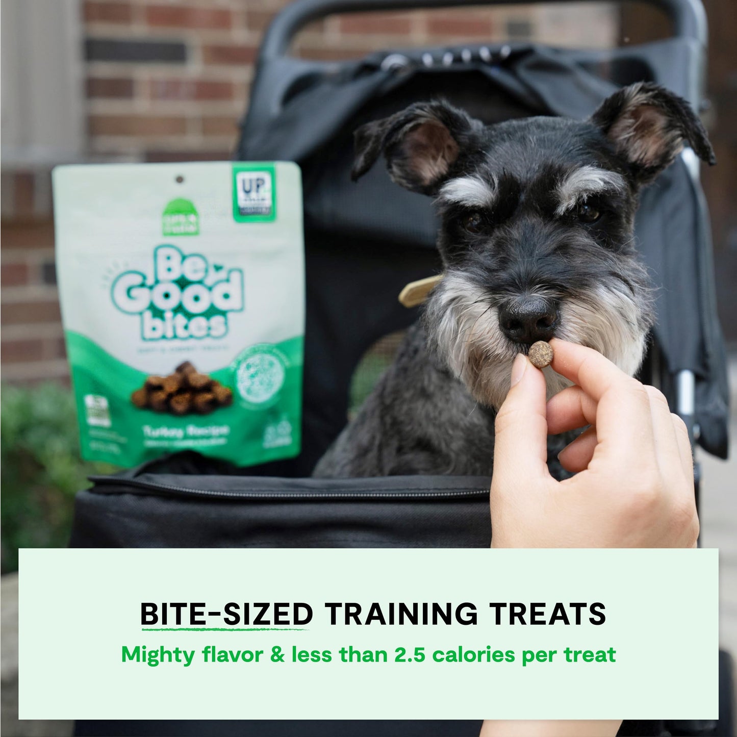 Open Farm, Be Good Bites, Soft Dog Training Treats, Small & Chewy, Made with Ethically & Sustainably Sourced Ingredients, Non-GMO Fruits & Grains, Turkey Recipe, 6oz Pouch