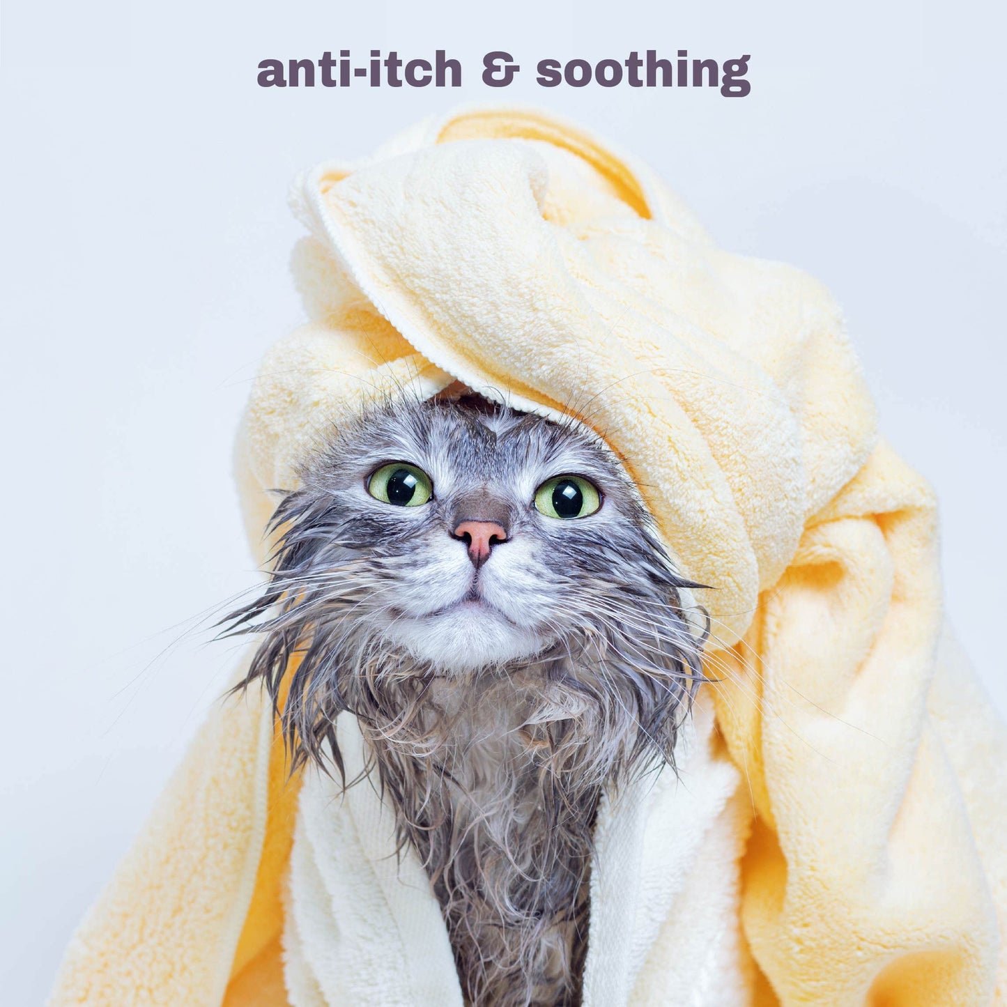 Mighty Meow Soothing Hypoallergenic Cat Shampoo – Easy at-Home Cat Grooming | Deodorizes | Gentle & Anti-Itch | Natural & Allergy-Safe Cat Shampoo Sensitive Skin – Fragrance Free | 9 fl oz
