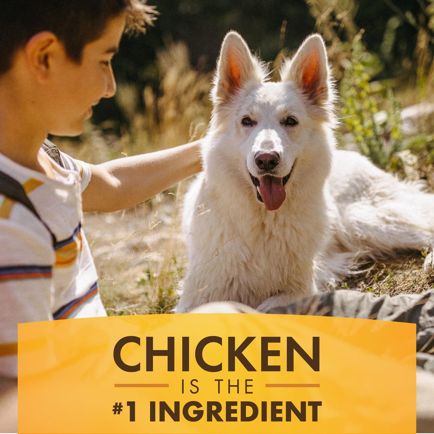 Farm Hounds - Duck Gizzards - Premium Natural Jerky for Dogs - 100% Humanely Raised Duck - Break-to-Size - Great for Training & Treats - No Added Fillers - Made in USA - 4oz - 1 Pack