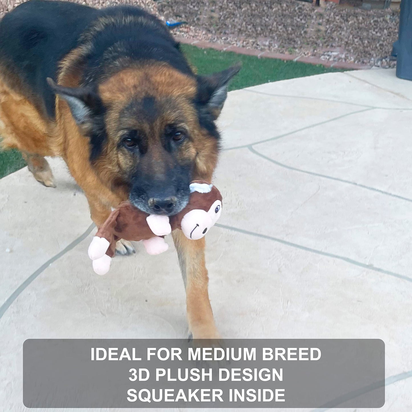 4 Pack Durable Dog Chew Toys for Aggressive Chewers-Puppy Teething Toys, Long-Lasting Dog Bones for Small & Medium Breeds-Indestructible Chew Toys for Dogs to Keep Them Busy & Support Dental Health