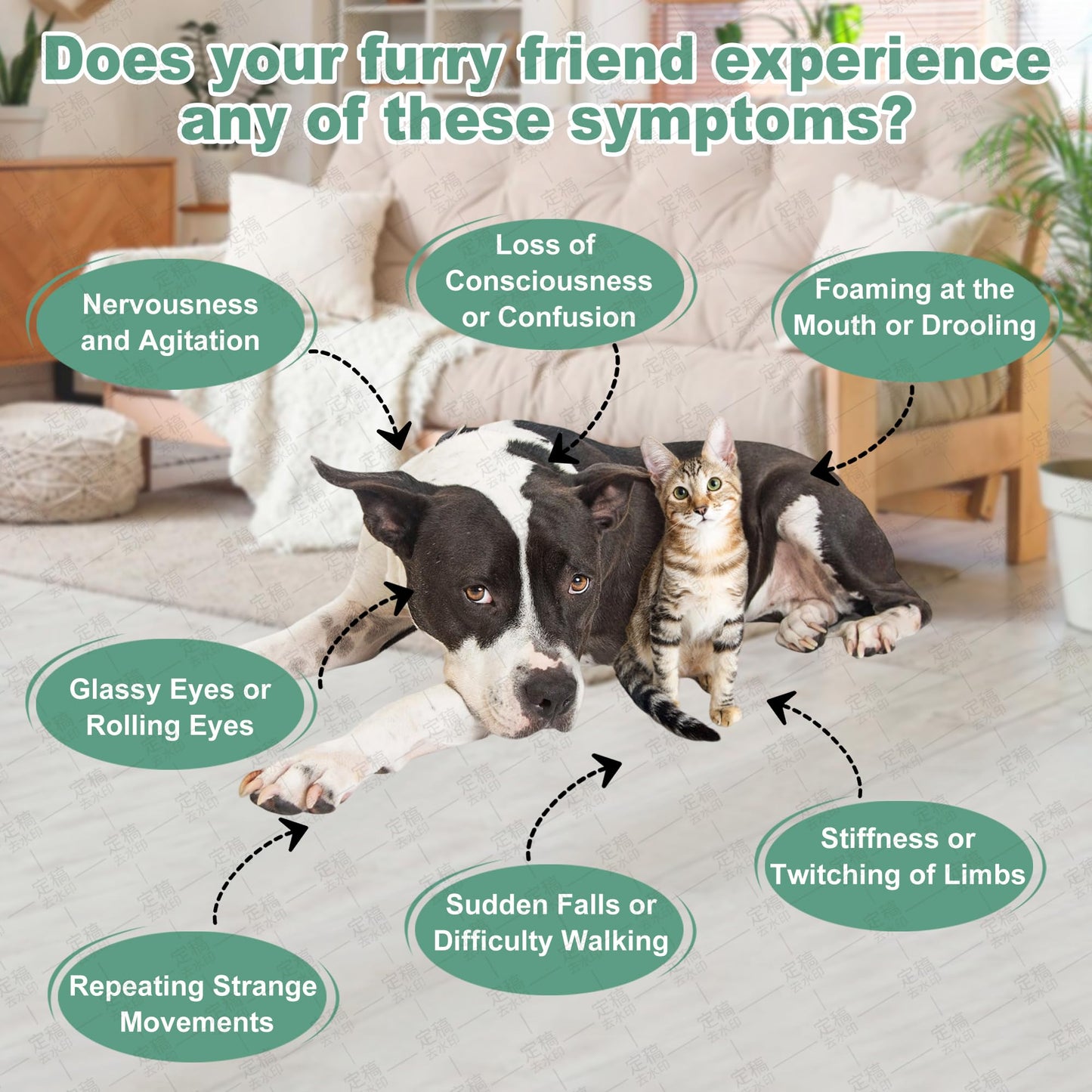 Seizure & Nervous System Support for Dogs and Cats – Herbal Drops with Valerian & Passionflower – Helps Calm Anxiety, Reduce Twitching & Support Brain Health (60mL)