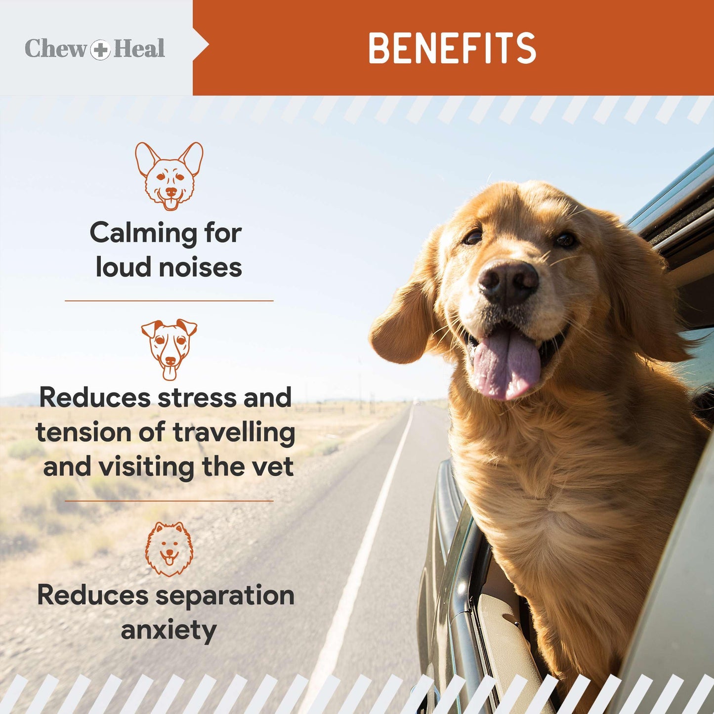 Calming Chews for Dogs - 30 Anxiety Relief Treats for Fireworks, Thunder, and Storms - Natural Dog Calming Treats for Large and Small Breeds with Thiamine, L-Tryptophan, Ginger, and Melatonin