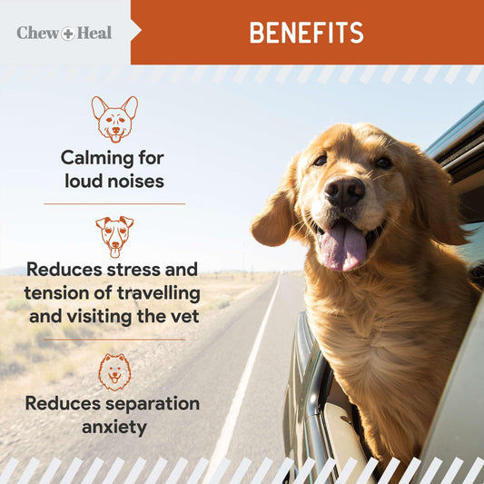 Calming Chews for Dogs - 30 Anxiety Relief Treats for Fireworks, Thunder, and Storms - Natural Dog Calming Treats for Large and Small Breeds with Thiamine, L-Tryptophan, Ginger, and Melatonin
