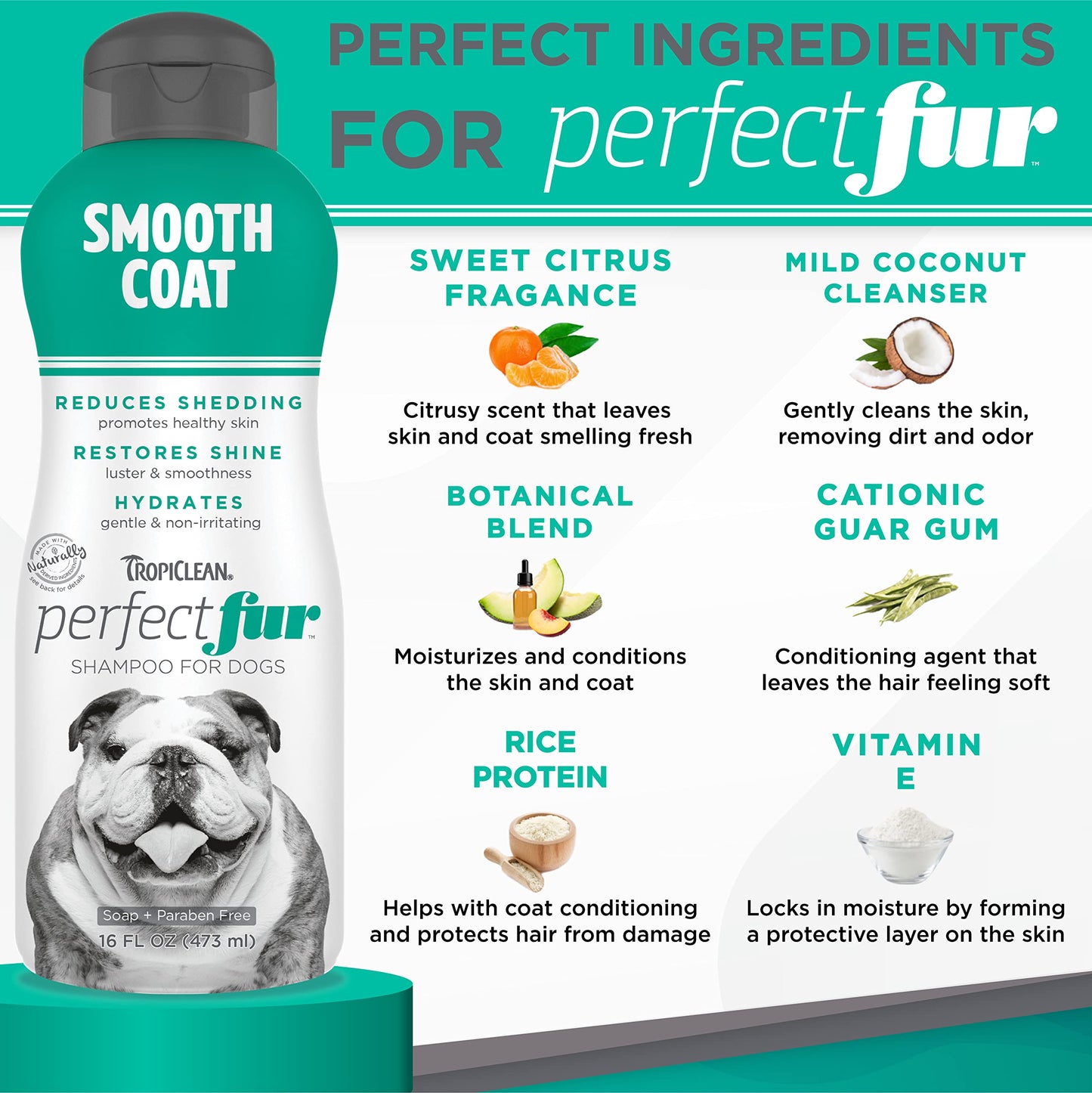 ODAC Overture Derma Serene Pet Shampoo, Gentle, Skin Friendly with Winter Cherry Root & Korean Patchouli, Rich Lather & Herbal Freshness, for Dogs & Cats, 10.14 fl oz Korea Beauty Pet Skincare