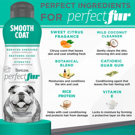 ODAC Overture Derma Serene Pet Shampoo, Gentle, Skin Friendly with Winter Cherry Root & Korean Patchouli, Rich Lather & Herbal Freshness, for Dogs & Cats, 10.14 fl oz Korea Beauty Pet Skincare
