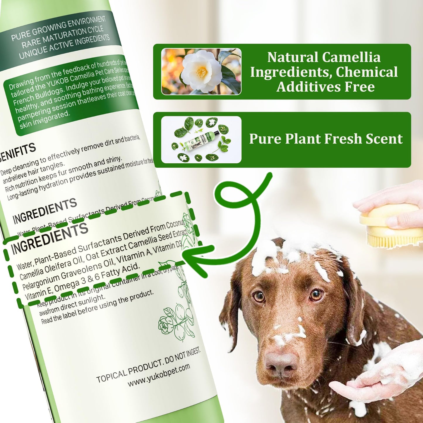 French Bulldogs Shampoo for Sensitive Skin - Natural Camellia Deshedding Pet Shampoo | Allergy & Itch Relief | Reduce Shedding & Odor Control for Smelly Dogs | Botanical Scent |16 oz
