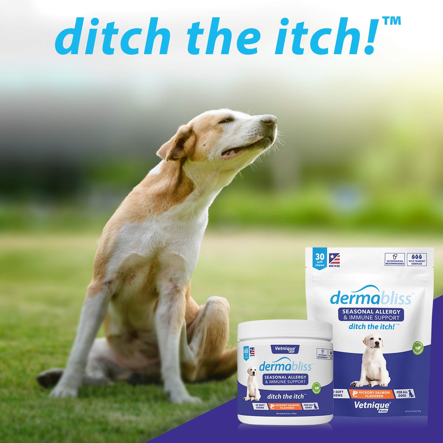 Vetnique Labs Dermabliss Allergy Chews 30 Ct and Glandex Anal Gland Support Chews 60 Ct Bundle Dog Vitamins & Supplements, Anal Gland Dog Treats with Probiotics, Dog Allergies Skin Treatment Soft Chew