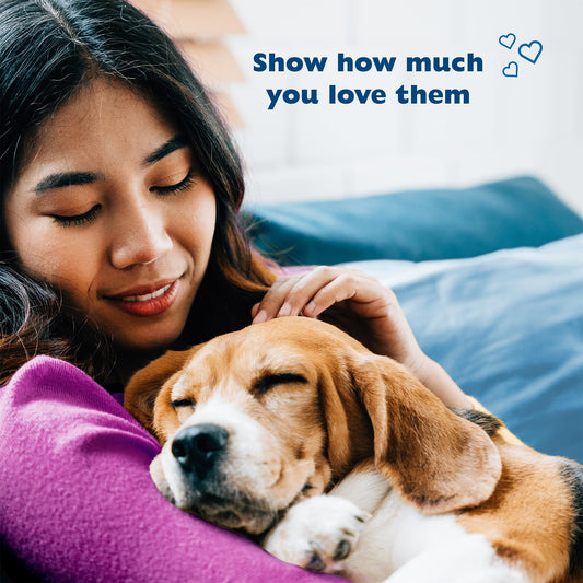 Bil-Jac Little Jacs Small Dog Training Treats, Chicken Flavor, Made with Chicken Liver, 16oz (3-Pack)