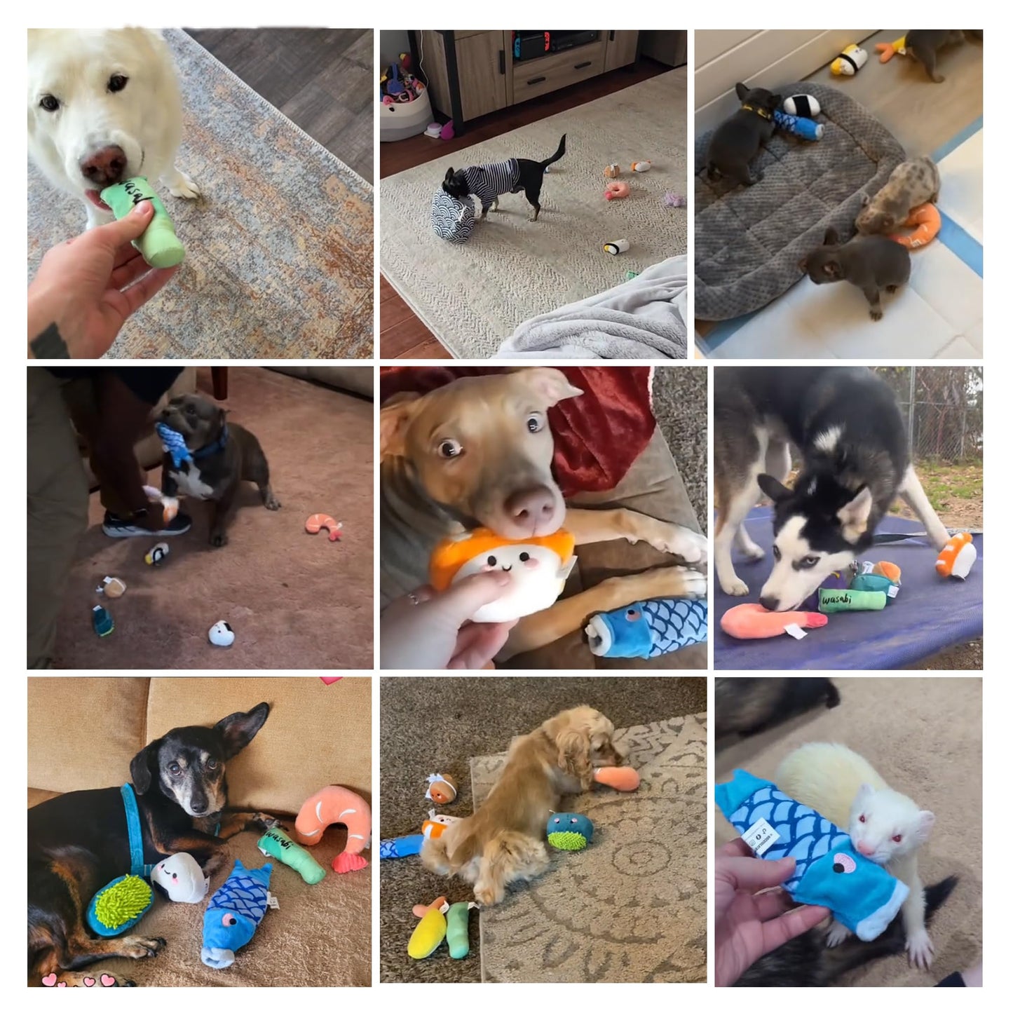 Outward Hound by Nina Ottosson Dog Casino Treat Puzzle Enrichment Toy, Level 3 Advanced, Turquoise