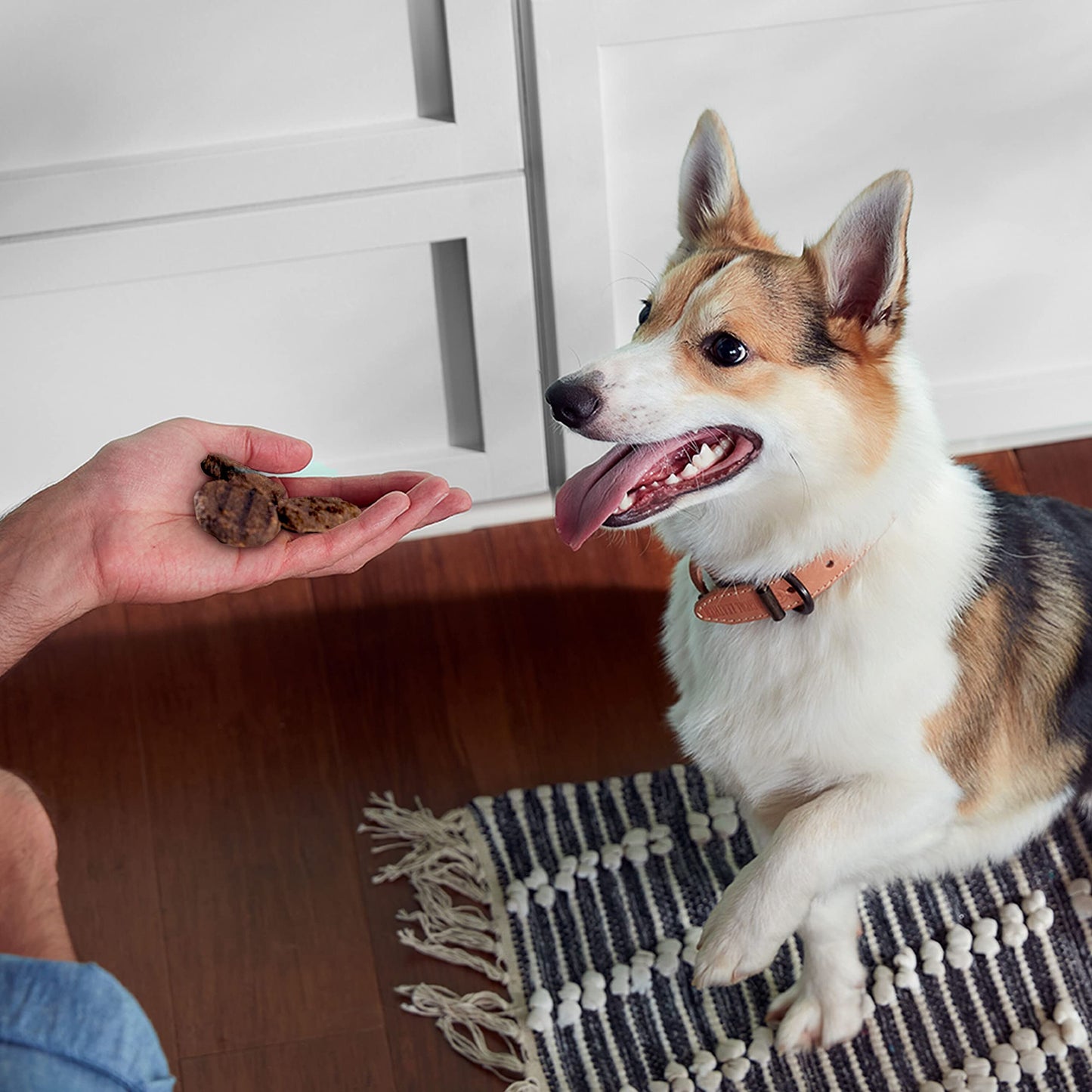 Royal Canin Large Weight Care Adult Dry Dog Food for Large Breeds, 30 lb bag