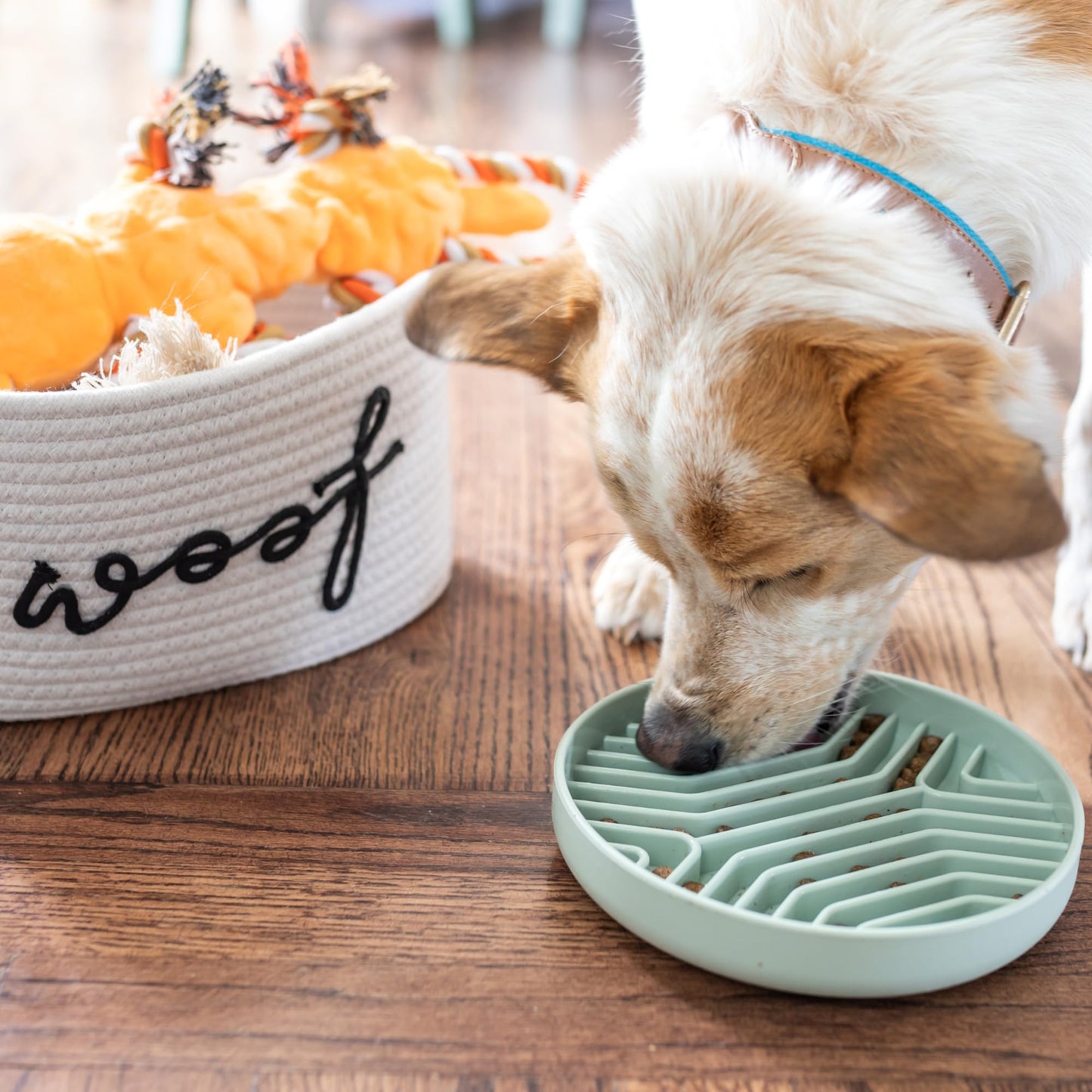 New Puppy Gift Basket - Premium Puppy Starter Kit and Dog Gift Basket with Dog Toys - Perfect Doggie Birthday Gifts and Puppy Necessities with Pet Toy Basket.