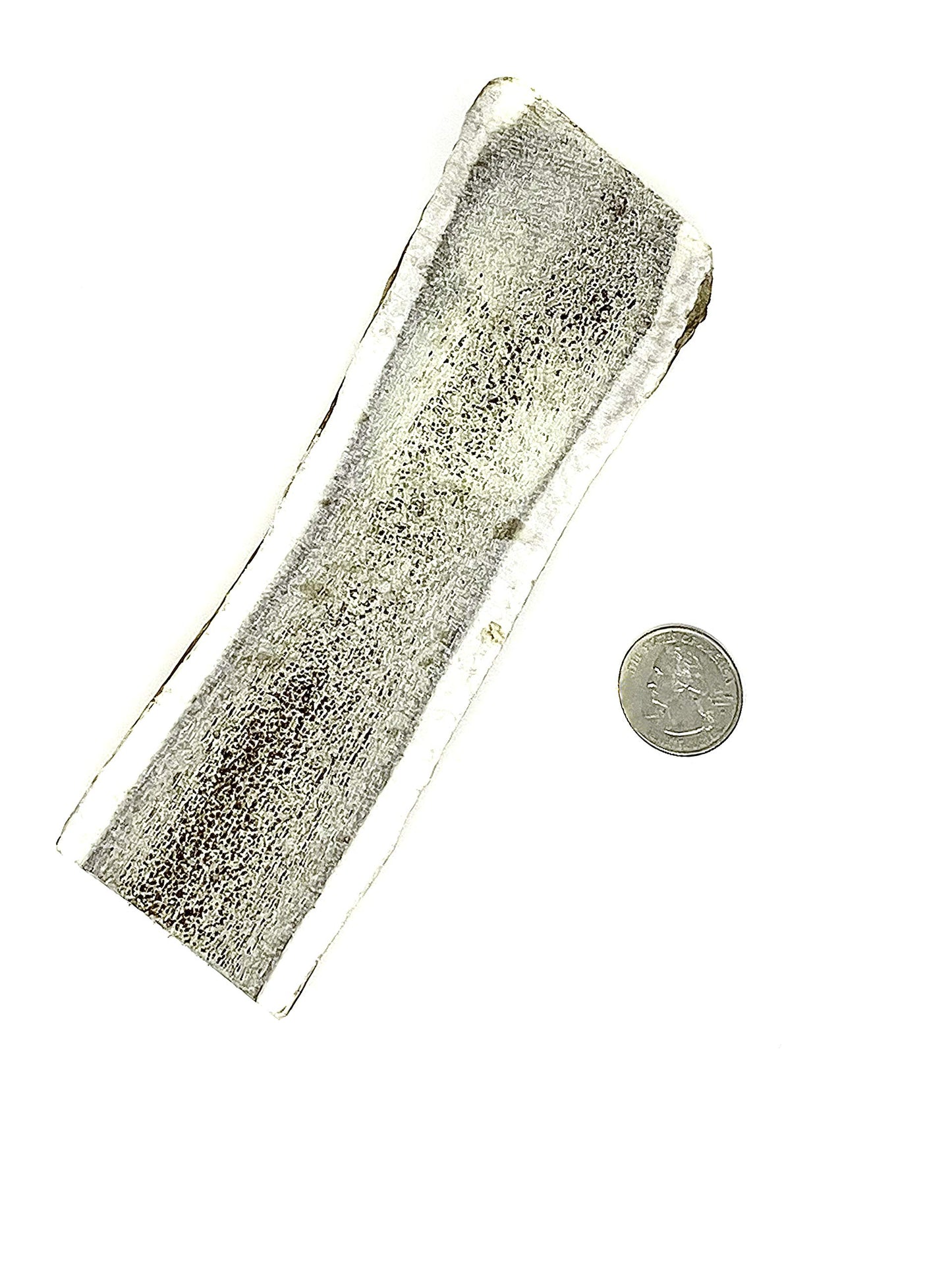 Natural Dakota Premium Split Elk Dog Chews | Antler Dog Chew Bones for Small, Medium, Large Dogs | 100% Naturally Shed Elk Dog Chew Bones | Long Lasting Dog Chew Toy | (Medium) Made in USA