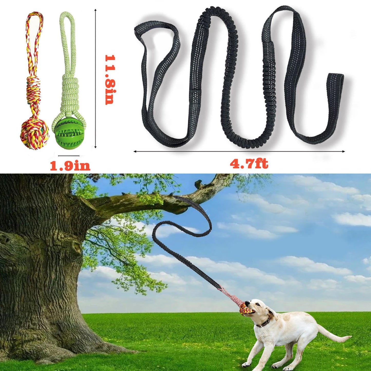 Dog Bungee Tug Toy for Large/Medium/Small Dogs, Dog tug of war Toy with Stake,Outdoor Interactive Toys Can Be Used on Lawns or Trees