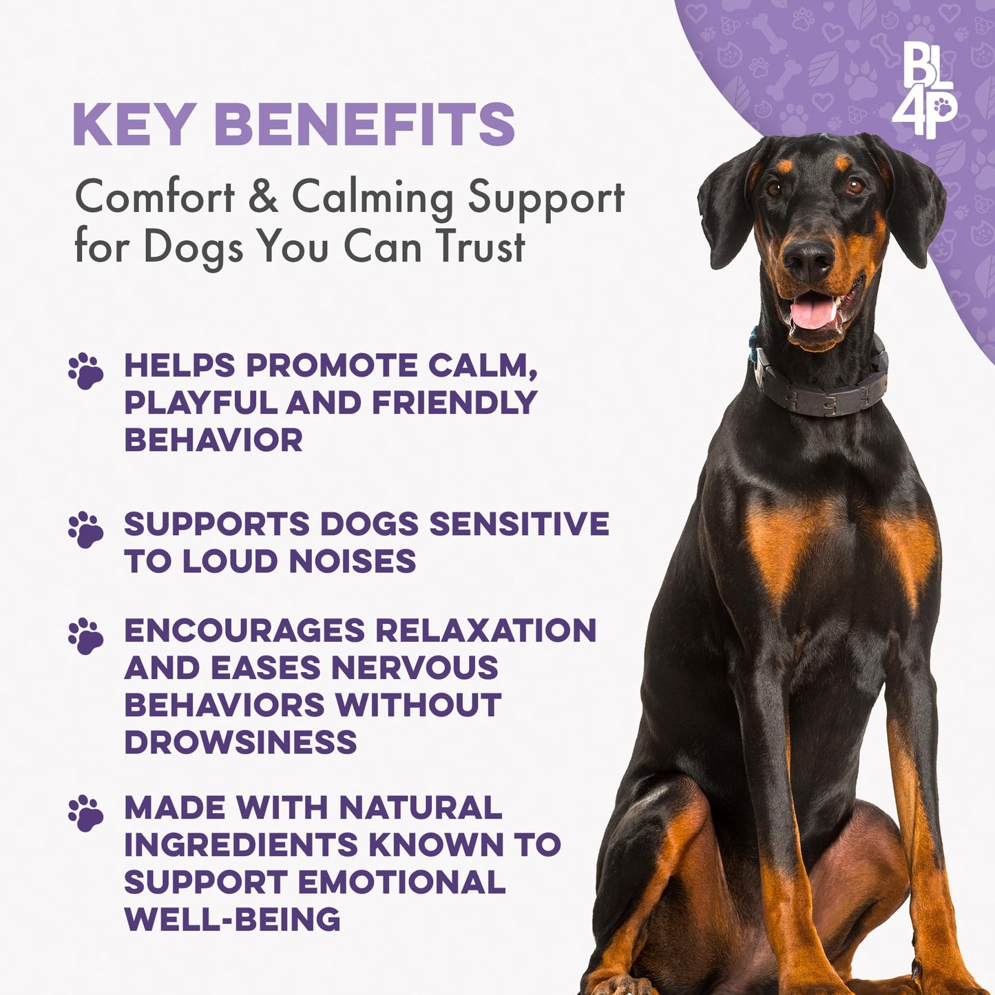Dog Calming Pheromone Diffuser Kit with Timer – 2 Plug-Ins + 4 Refills – Smart 4-Level Timing Calming Aid – Stress Relief for Dogs – Help with Anxiety, Barking, Fighting, Thunder, Travel, Vet Visits