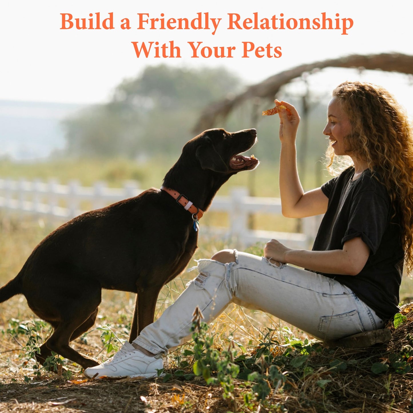 Annika Chicken Wrapped Sweet Potato Dog Treats – Grain-Free, Healthy Natural Jerky Chews, High Protein, Dental-Friendly Puppy Training Snacks for Small, Medium & Large Dogs, 11.6 oz