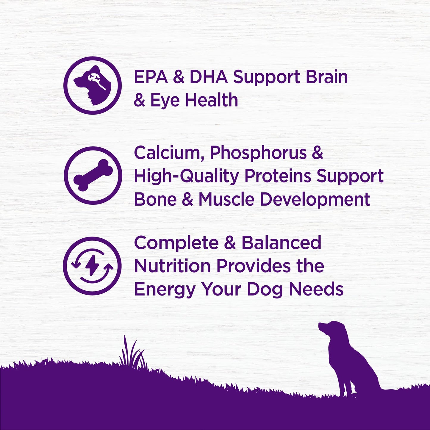 Wellness Complete Health Puppy Dry Dog Food, Wholesome Grains, Natural, Chicken, Oatmeal, & Salmon Recipe, (26-Pound Bag)