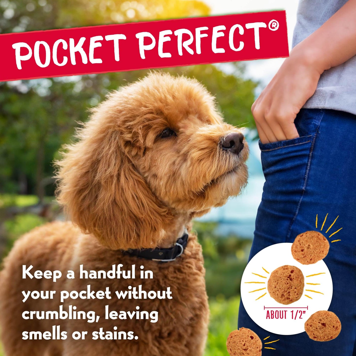 Charlee Bear Grain Free Crunch Turkey, Sweet Potato & Cranberry Dog Treats, 8 oz (2-pack) - Made in the USA, Natural Training Treats for Dogs