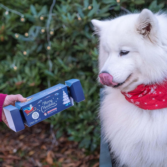 SKIPPER'S Christmas Crackers for Dogs - Contains White Fish Skin Flatties, Handmade & Air Dried Crackers Dog Treats, 100% Natural Long Lasting Dog Chews, High Protein & Rich in Omega 3 | (2.12 Oz)