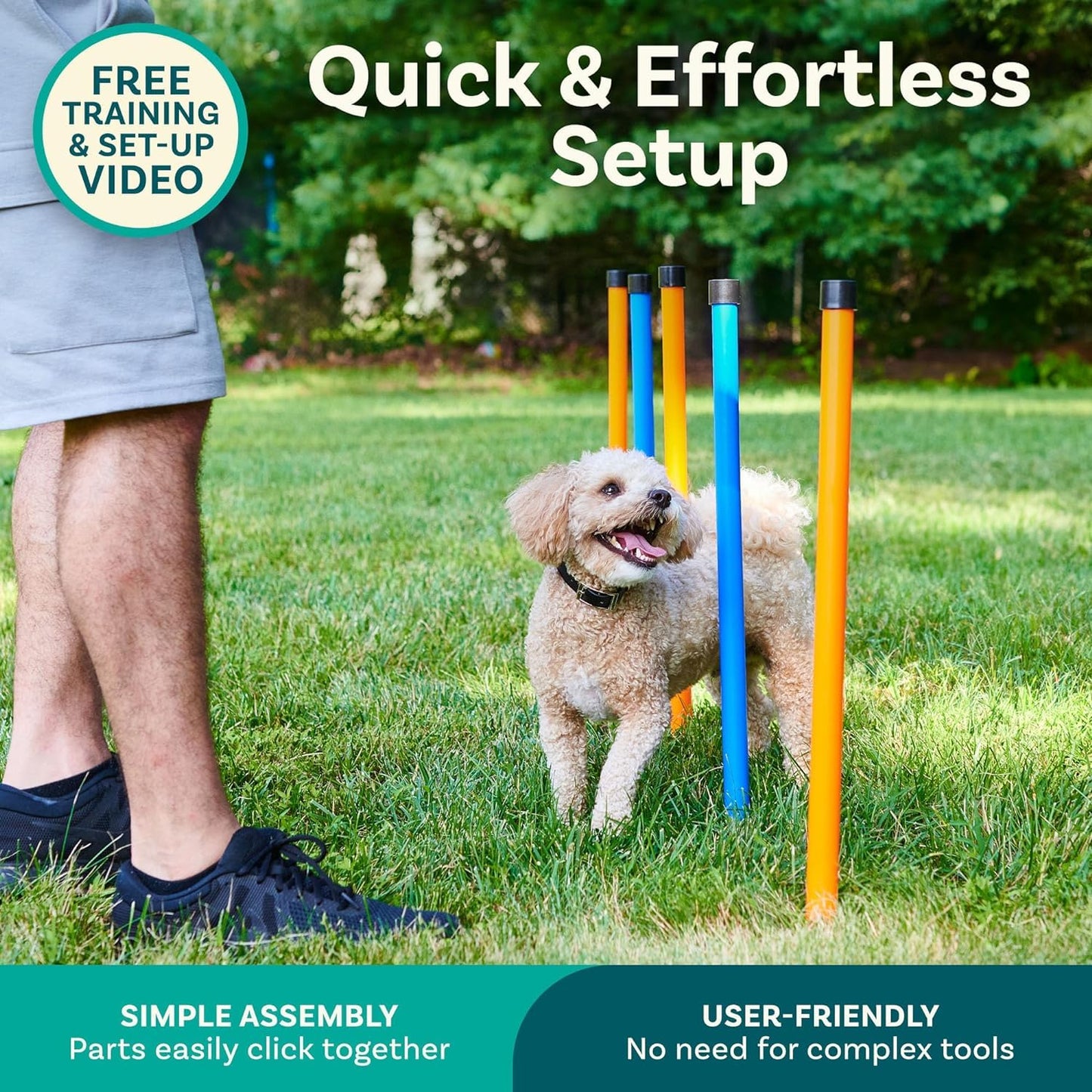 PetCove Dog Agility Set - Backyard Obstacle Course with Jumps, Tunnel and Training Equipment - Dog Agility Course Backyard Set - Assembles in Minutes - Includes Carrying Bags for Transport & Storage