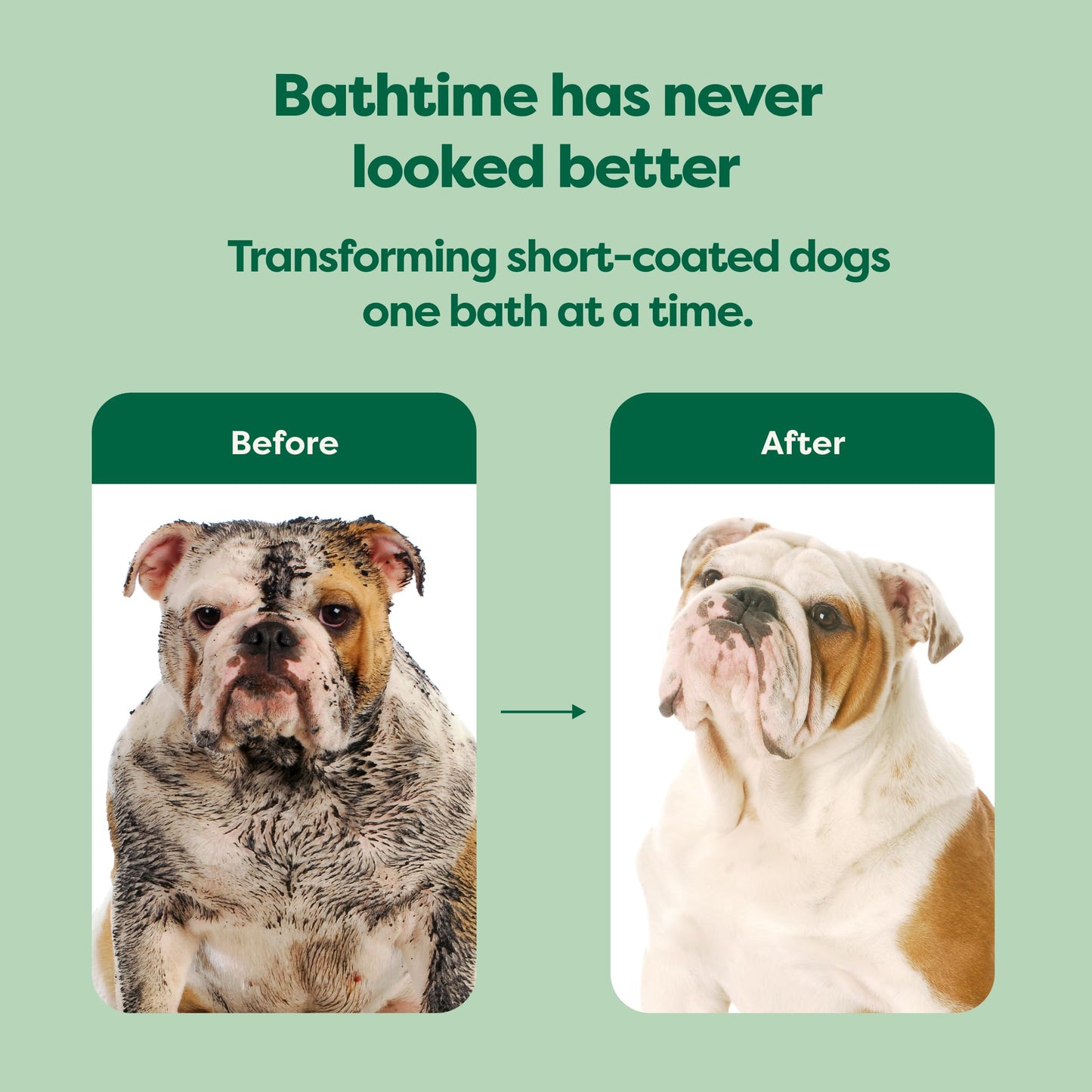 Earth Rated Short Coat Essentials - Dog Shampoo, Grooming Wipes & Refresh Mist, Ear Wipes, Eye Wipes