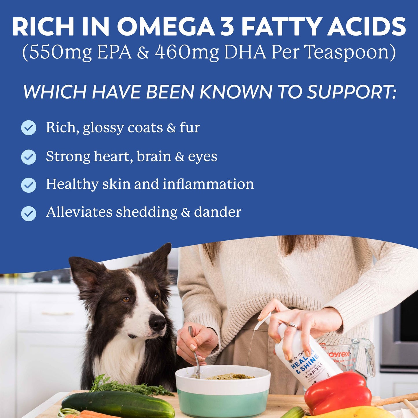 Dr. Harvey’s Health & Shine Omega 3 Fish Oil for Dogs from Wild Caught Cod, Mackerel, Herring, Anchovies and Sardines - Supports Beautiful Fur, Strong Joints and Itchy Allergy Relief (16 fl. oz.)