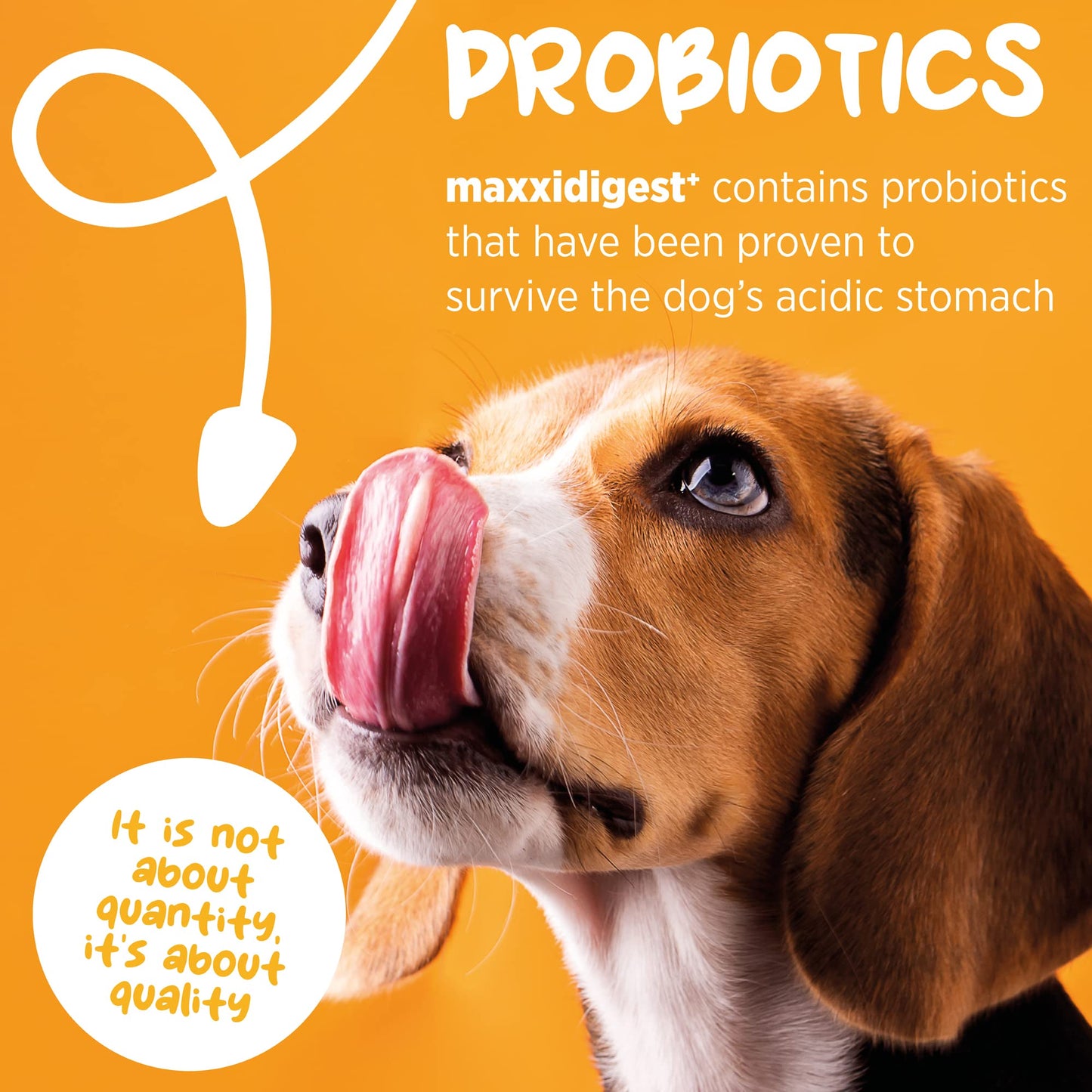 maxxipaws maxxidigest+ Prebiotic & Probiotic for Dogs 13.2oz | Dog Probiotic Powder with Advanced Digestive Enzymes for Gut Health & Immunity | Supports Digestion, Food Sensitivities & Itchy Skin