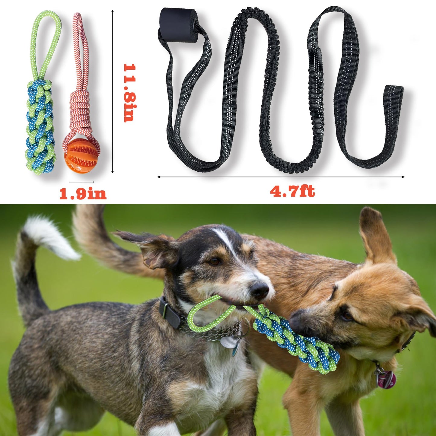 GTIIAS Interactive Dog Toys Tug of War Dog Toy for Small/Medium/Large Dogs,Teething Rope for Teeth Cleaning,Puzzle Ball for Chewing,Dog Bungee Tug Toy Kit, blue