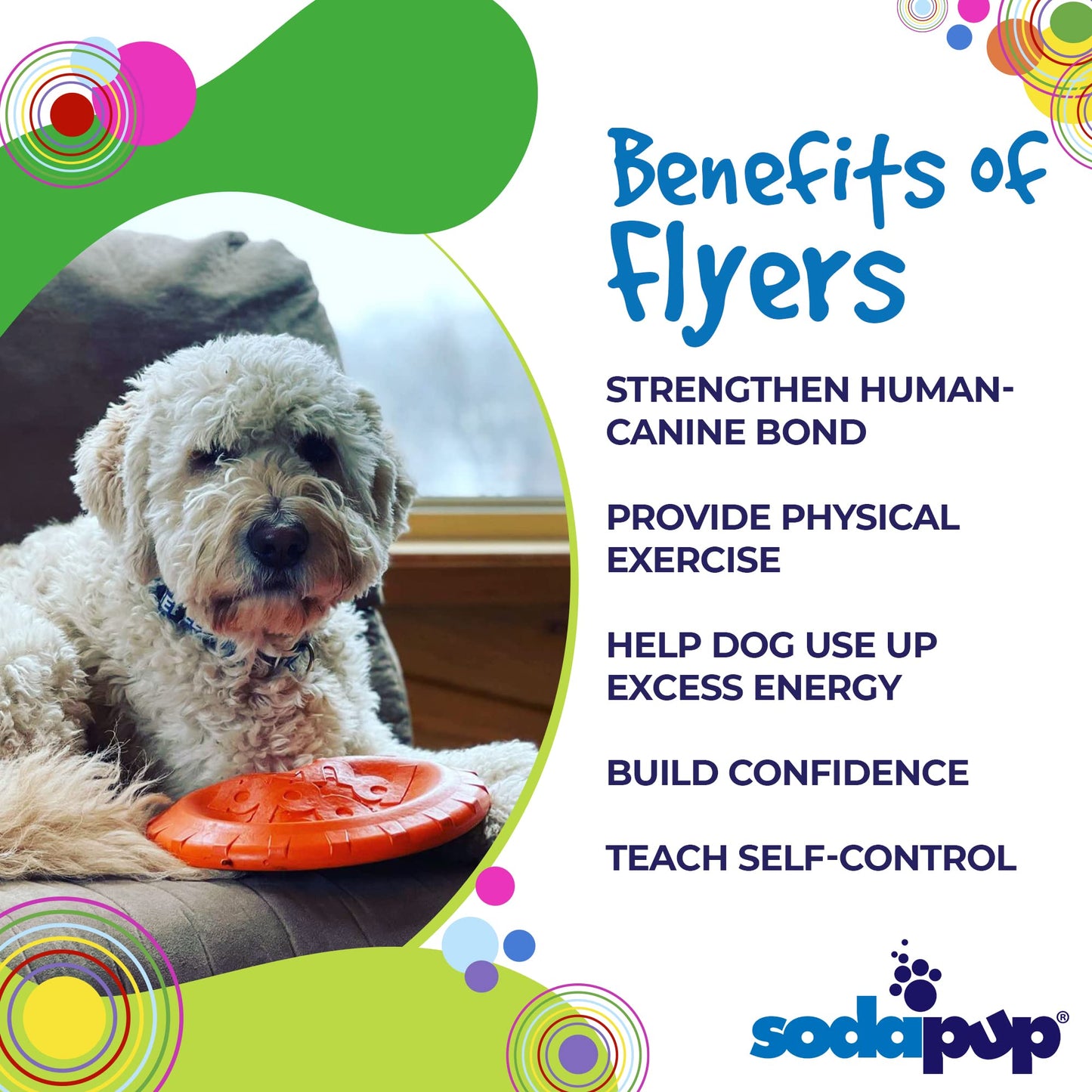 SodaPup Bottle Top – Durable Flyer Retrieving Toy Made in USA from Non-Toxic, Pet-Safe, Food Safe Natural Rubber for Bonding, Physical Exercise, Building Confidence, Teaching Self-Control, & More