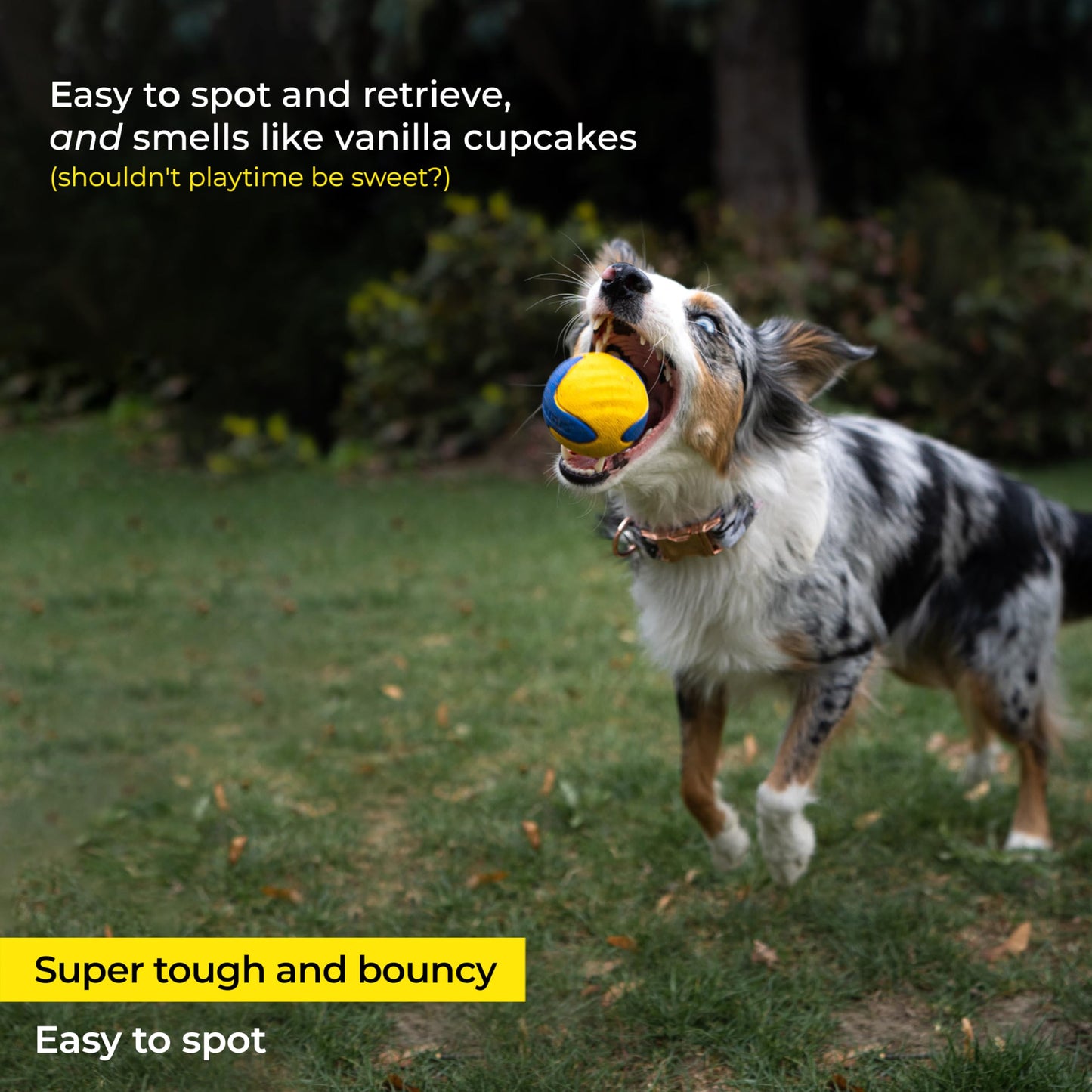 Harry Barker Durable Rubber Treater Toy - XL