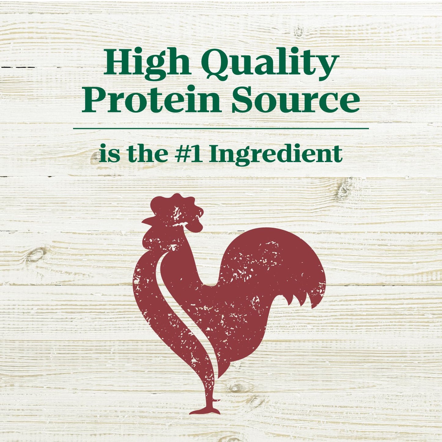 Nutro Max Adult Dry Dog Food with Beef, 25 lb. Bag