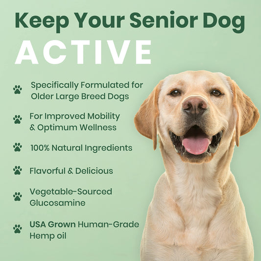 Vet Naturals Hemp & HIPS - Dog Joint Supplement Large Breed - Senior Dog Supplements - Glucosamine and Chondroitin Supplement for Large Dog - MSM & USA Grown Hemp Oil (60ct-Rotisserie Chicken)