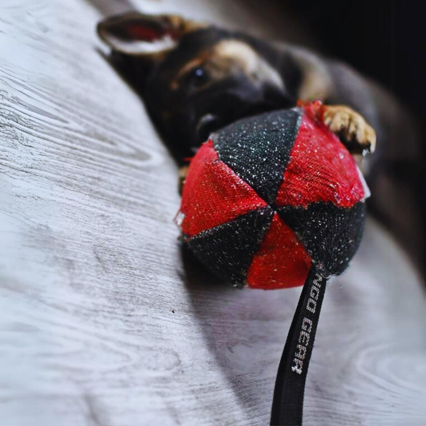 Dingo Gear Dog Tug Ball 4" for Strong Dog, Bite Training, IGP, K9, Fun, Red S02780